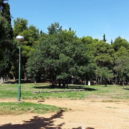 Bungalows Jurjevac ستاري غراد المظهر الخارجي الصورة