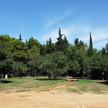 Bungalows Jurjevac ستاري غراد المظهر الخارجي الصورة